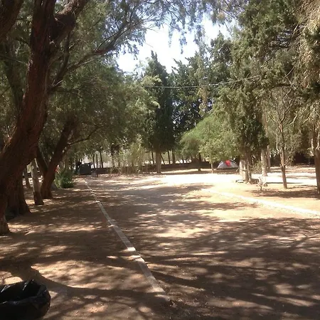 Krios 2*